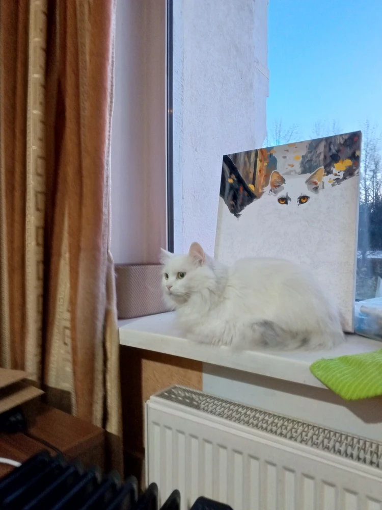 Без комментариев