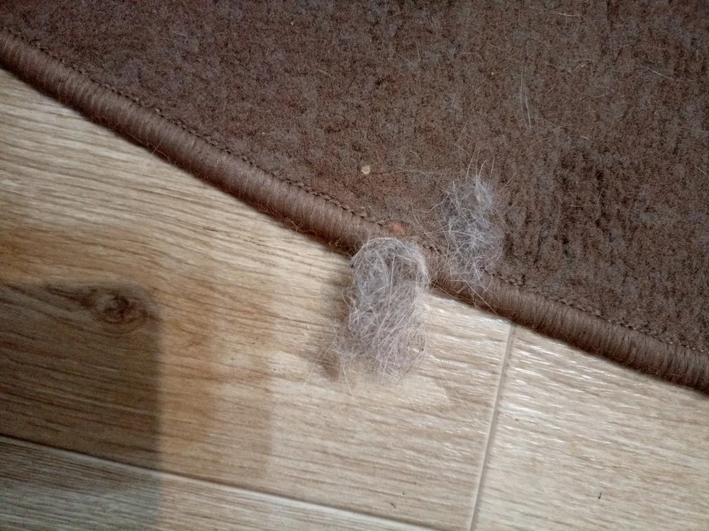 Пылесос не впечатлил, к покупке не могу сказать, рекомендую или не рекомендую 👎. Ну,  а покупать или нет Вам решать. К WB и производителю, буду очень благодарна, если смогу сдать это Чудо обратно. Дополнительно о принятом Вами решении напишу в отзывах