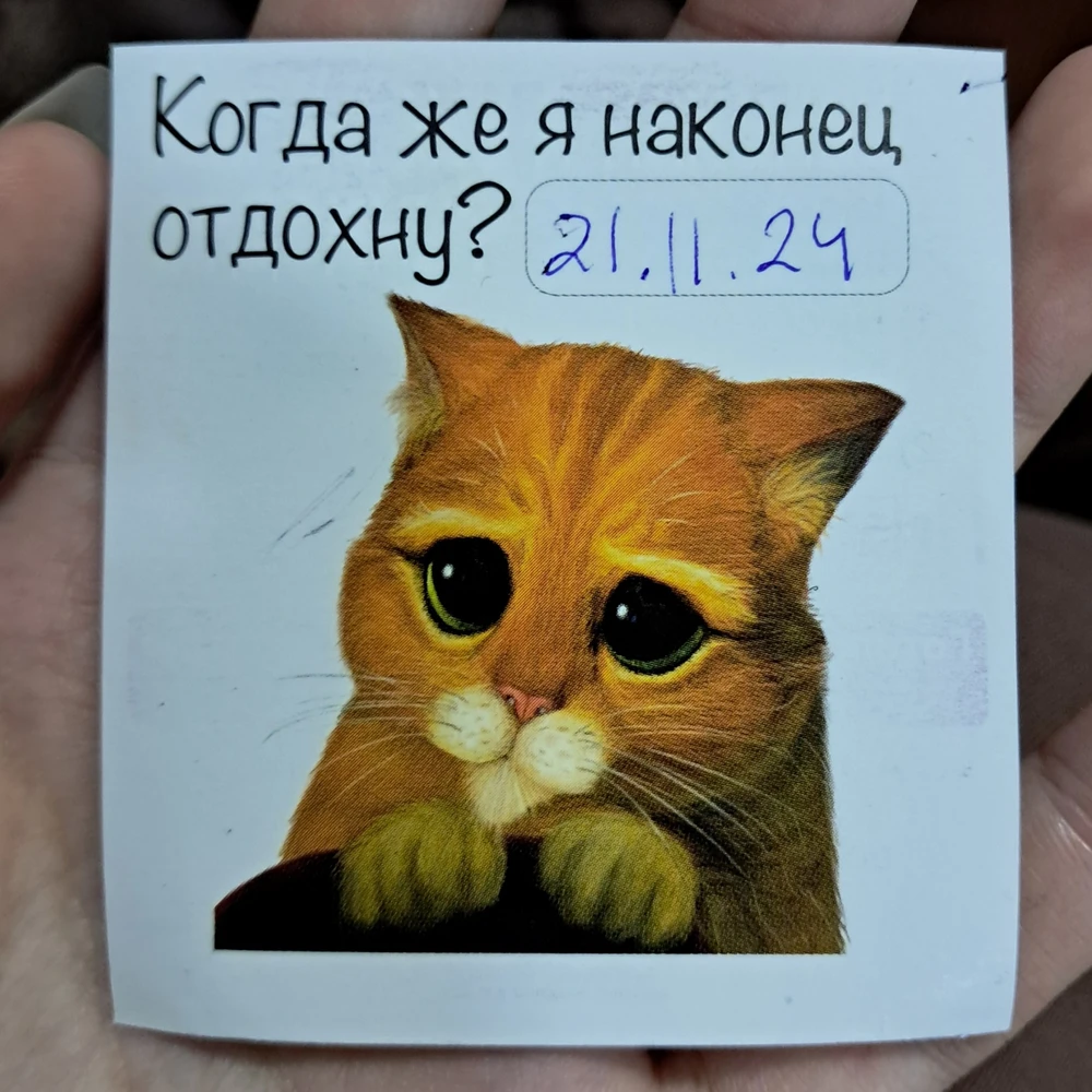 Без комментариев