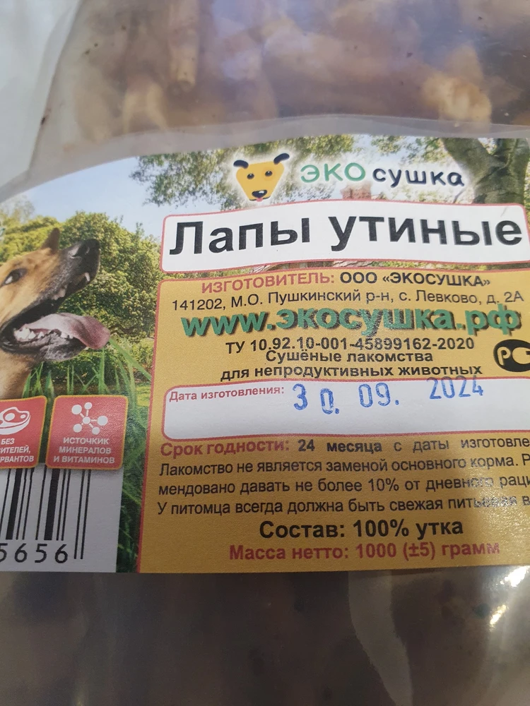 Без комментариев