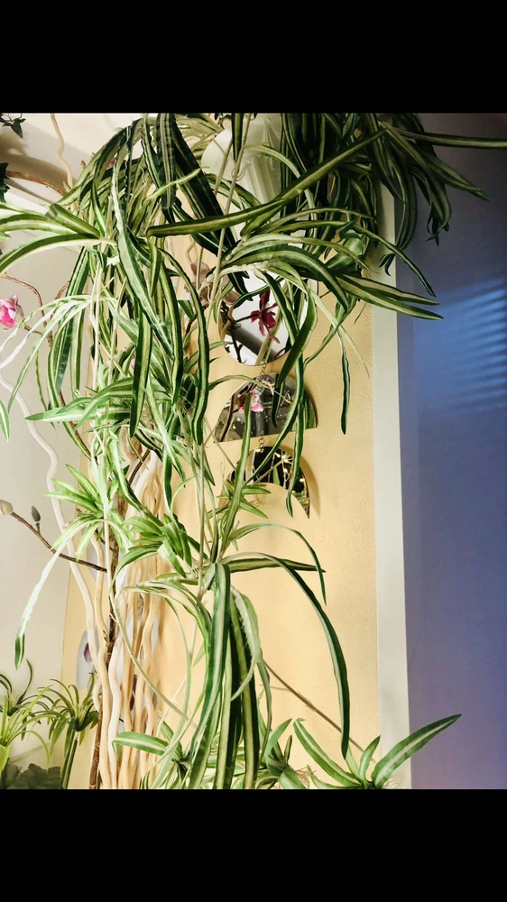 Без комментариев