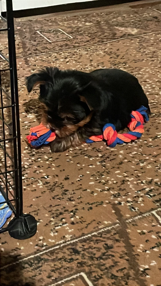 Без комментариев