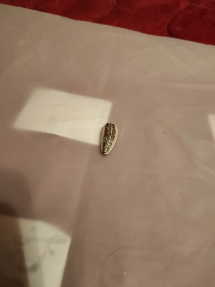 Попробуем постирать, может станет лучше