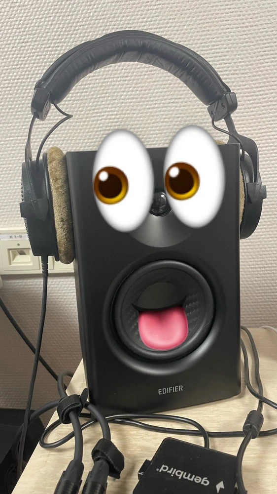 Я в восторге. Звук отменный. Качество замечательное. Всё работает на ура