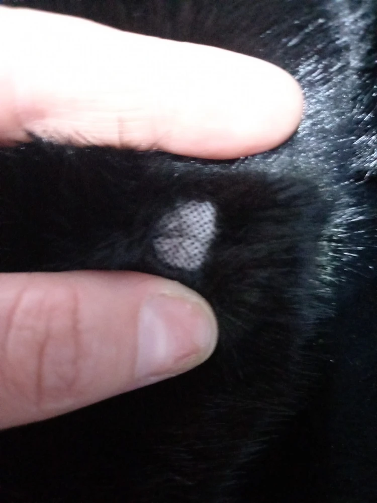 Прошу принять обратно и вернуть оплату