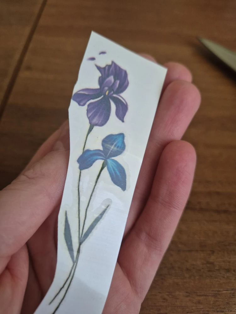 Без комментариев