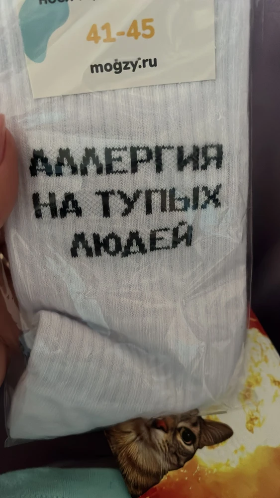 Без комментариев